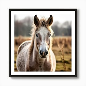 Horse Animal Grass Breeding Head Pasture Donkey Standing Farm Cute White Background Natu (2) 2 Art Print