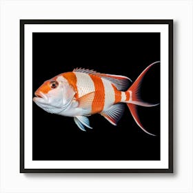 It's a vibrant fish with striking red and white stripes Art Print