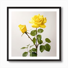 Yellow Roses Art Print