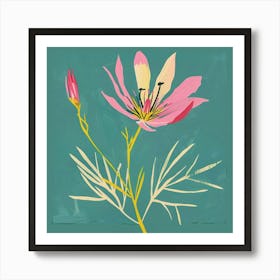 Love In A Mist 5 Square Flower Illustration Art Print