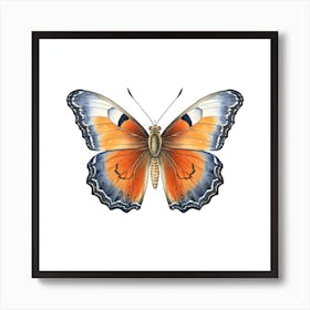 Butterfly 18 Poster