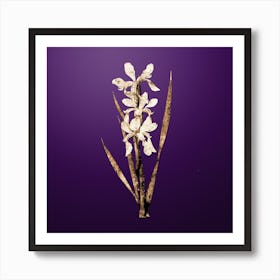 Gold Botanical Yellow Banded Iris on Royal Purple Art Print