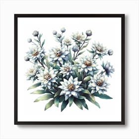 Flowers of Edelweiss Art Print