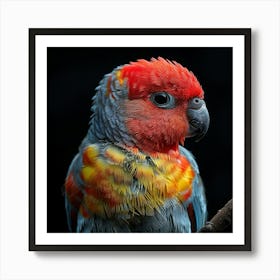 Parrot On A Branch Art Print