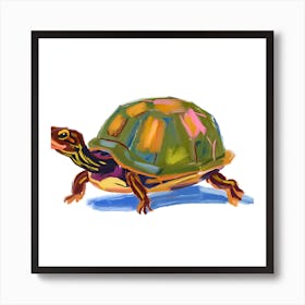 Box Turtle 05 Art Print