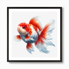 Koi Fish Art Print