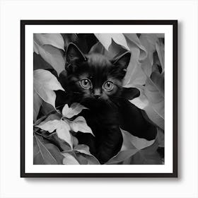 Black and White Black Cat In Leaves 3 Art Print