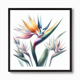 Flower of Bird of Paradise 3 Art Print