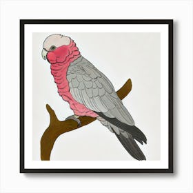 Cockatoo Art Print