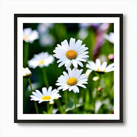 White Daisies Close Up Flowers Petals Nature Bloom Flora Botanical Spring Blossom Garden (3) Art Print