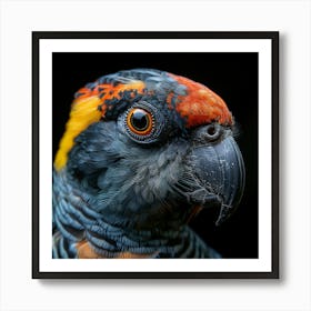 Parrot Portrait Art Print