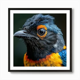 Bird'S Head Art Print