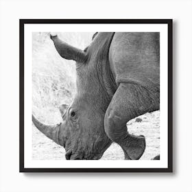 Rhino Square Art Print