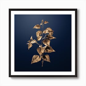 Gold Botanical Black Birch on Midnight Navy n.0589 Art Print