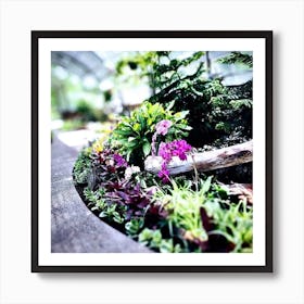 Orchids In A Greenhouse Art Print