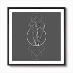 Vintage Gladiolus Cuspidatus Botanical with Line Motif and Dot Pattern in Ghost Gray n.0270 Art Print