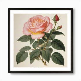 Rose Of France flower plants painting art print Art Print