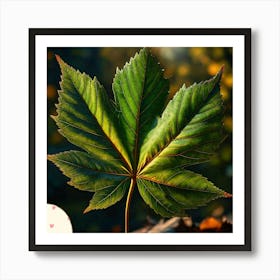 Sycamore leaf Art Print