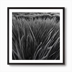 Field Of Grass Art Print