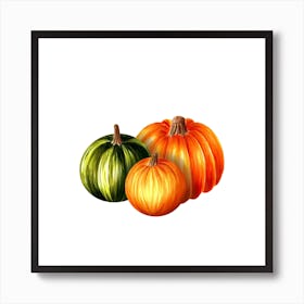 Pumpkins On White Background Art Print