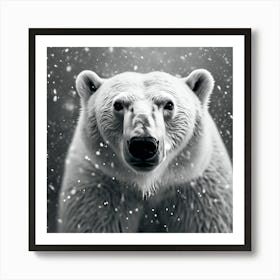 Polar Bear Portrait , Monochrome no.3 Art Print