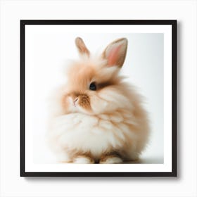 Cute Fluffy Bunny Art Print