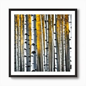 Birch Trees In Autumn 18 Art Print