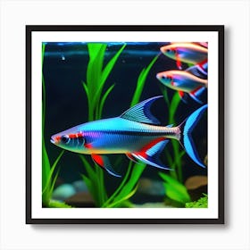 Fishes In Aquarium Neon Tetra Fish Art Print