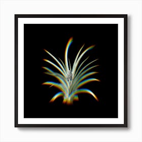 Prism Shift Pineapple Botanical Illustration on Black n.0436 Art Print