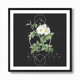 Vintage White Rosebush Botanical with Geometric Line Motif and Dot Pattern n.0163 Art Print