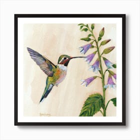 Hummingbird On Flower Art Print