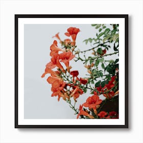 The Tiny Orange Flowers In Spain Travel Square Art Print