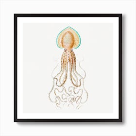Vintage Squid, Ernst Haeckel Art Print