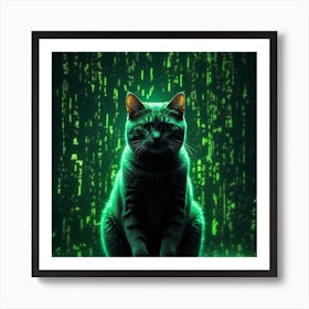 Cat In Front Of Matrix Affiche