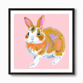 Netherland Dwarf Rabbit 03 Art Print