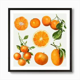 Tangerines 1 Art Print