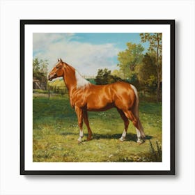 Horse In A Field Art Print