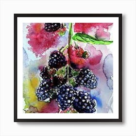 Blackberries On The Vine Art Print