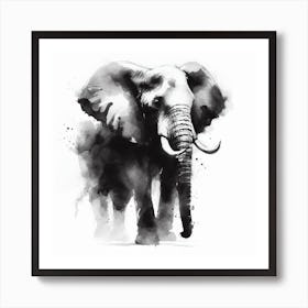 Elephant In Black And White Poster