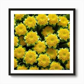 Yellow Daisy 1 Art Print