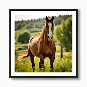 Horse In The Field 4 Art Print