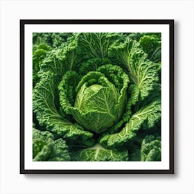 Cabbage Close Up Art Print