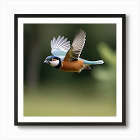 Pajaro Captadp Por La Camara Art Print