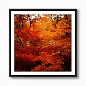 Firefly Autumn Leaves In Blaze Fiery Reds, Oranges, And Yellows Of Fall Foliage 2 Poster