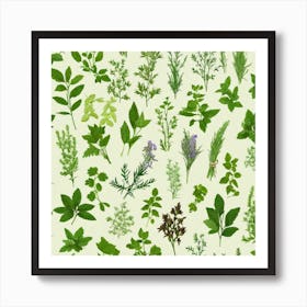 Seamless Pattern Of Herbs 10 Art Print