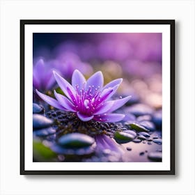 Water Lily 2 Art Print