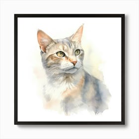 Selkirk Cat Portrait 3 Art Print