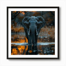 Elephant At Sunset Art Print