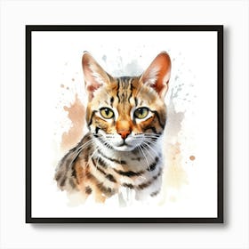Bengal Marbled Cat Portrait Art Print