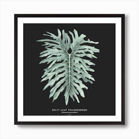 Split Leaf Square Art Print